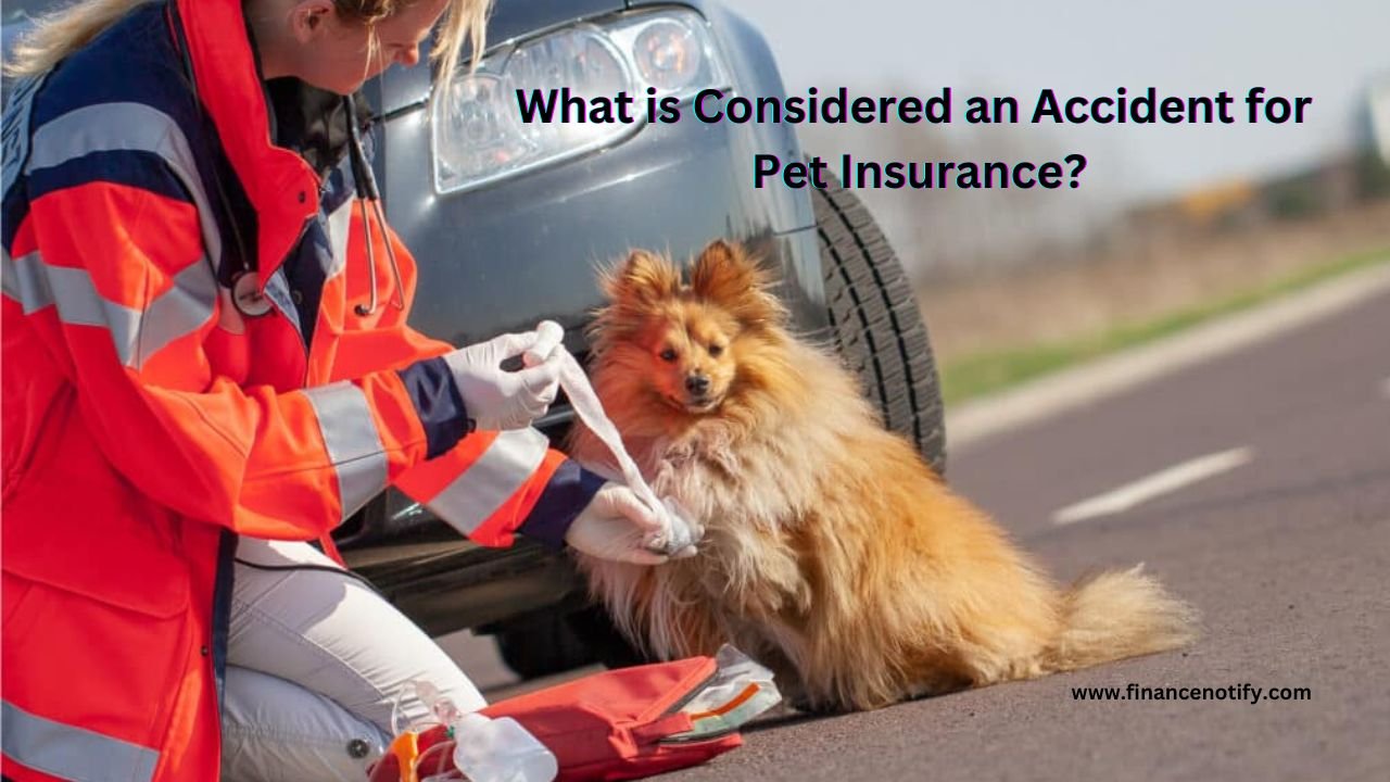 What is Considered an Accident for Pet Insurance